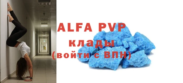 крисы Алексин