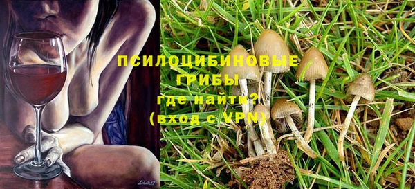 МДПВ Россошь