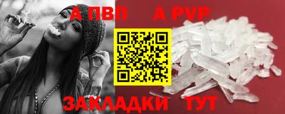 гашик Будённовск