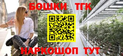 гашик Будённовск