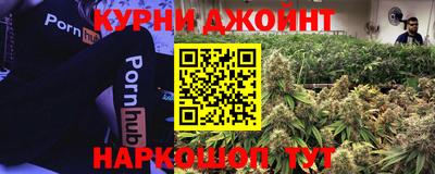 гашик Будённовск