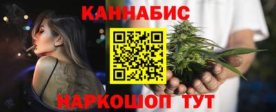 гашик Будённовск