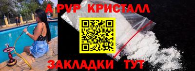 гашик Будённовск