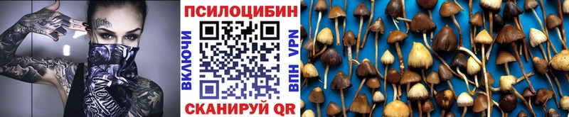 Галлюциногенные грибы Psilocybine cubensis MEGA рабочий сайт Кимры как найти