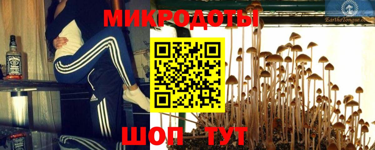 Псилоцибиновые грибы Magic Shrooms  Вход с VPN  Кимры 